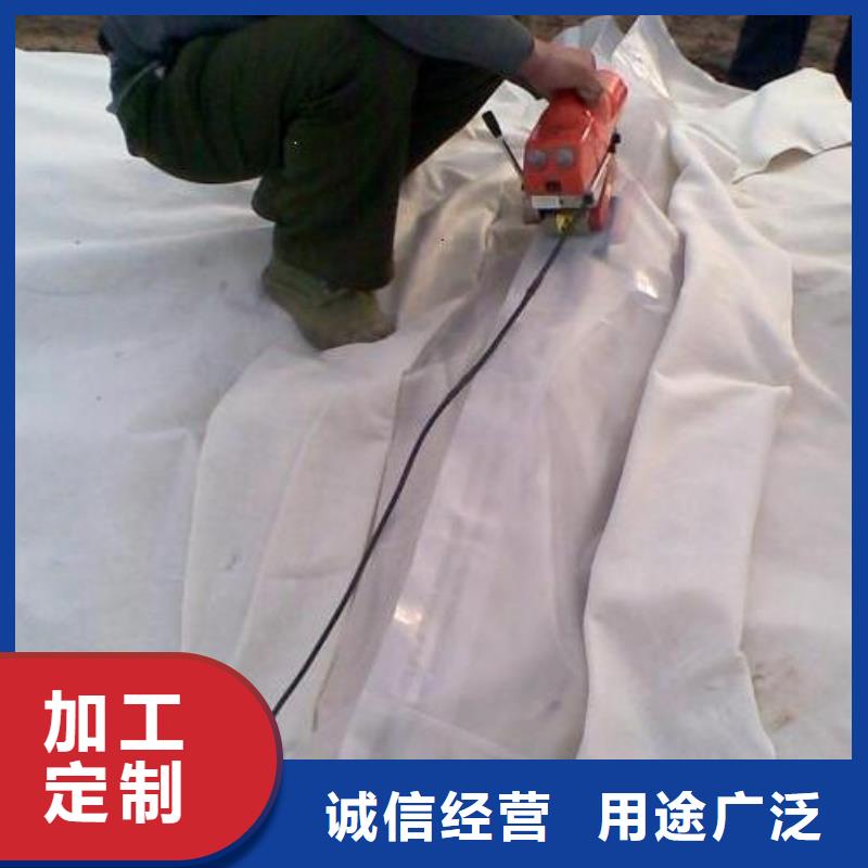 土工膜护坡土工网厂家直销