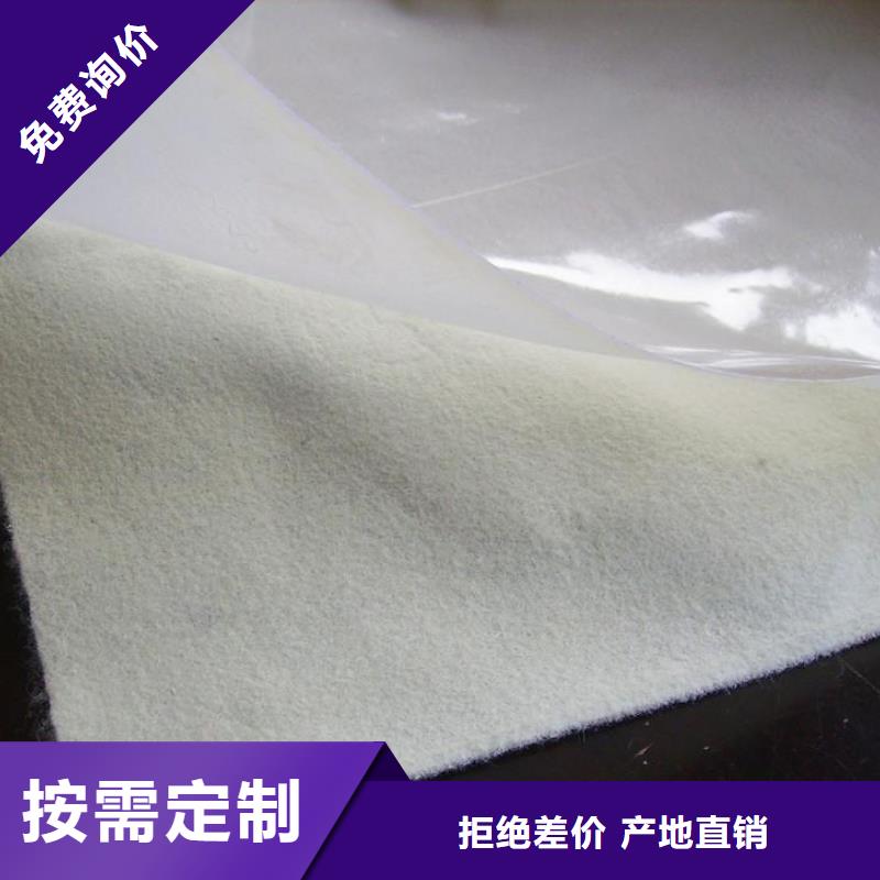 土工膜玻纤格栅规格齐全
