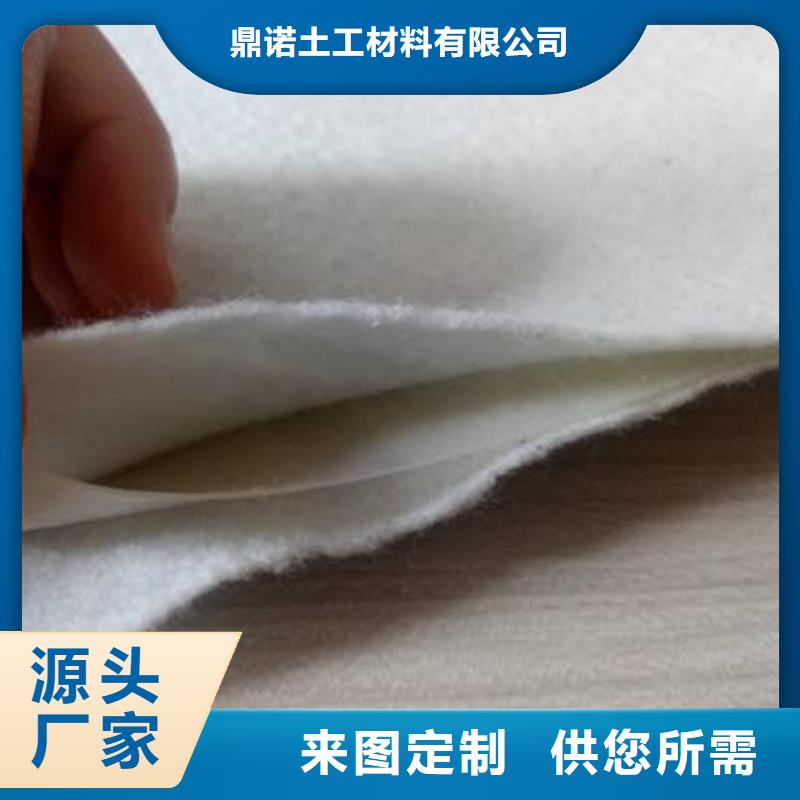 土工膜护坡土工网厂家直销
