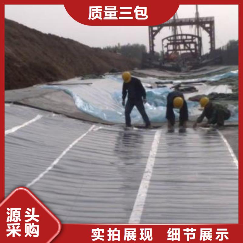 土工膜复合土工膜重信誉厂家