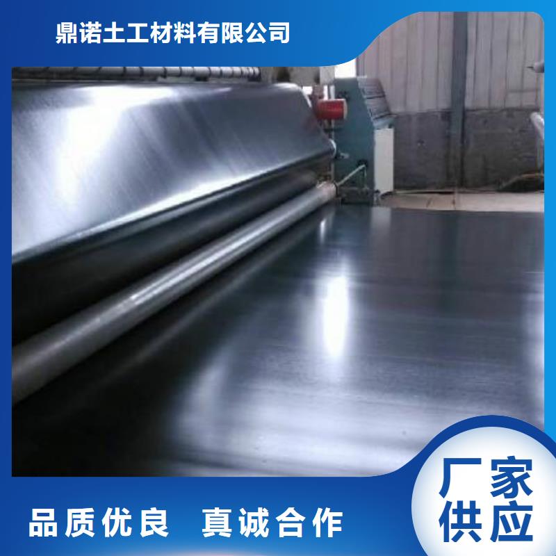 土工膜双向塑料土工格栅多种工艺