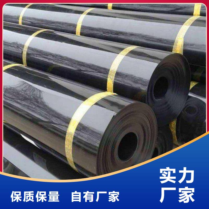 【土工膜单向塑料土工格栅精心】