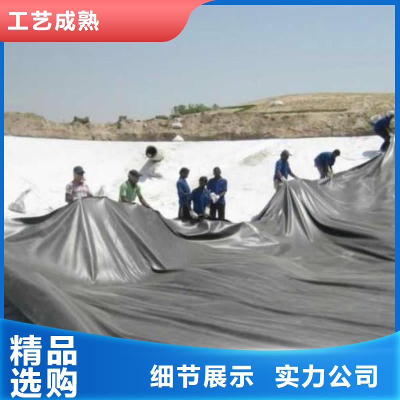 土工膜渗排水片材定金锁价