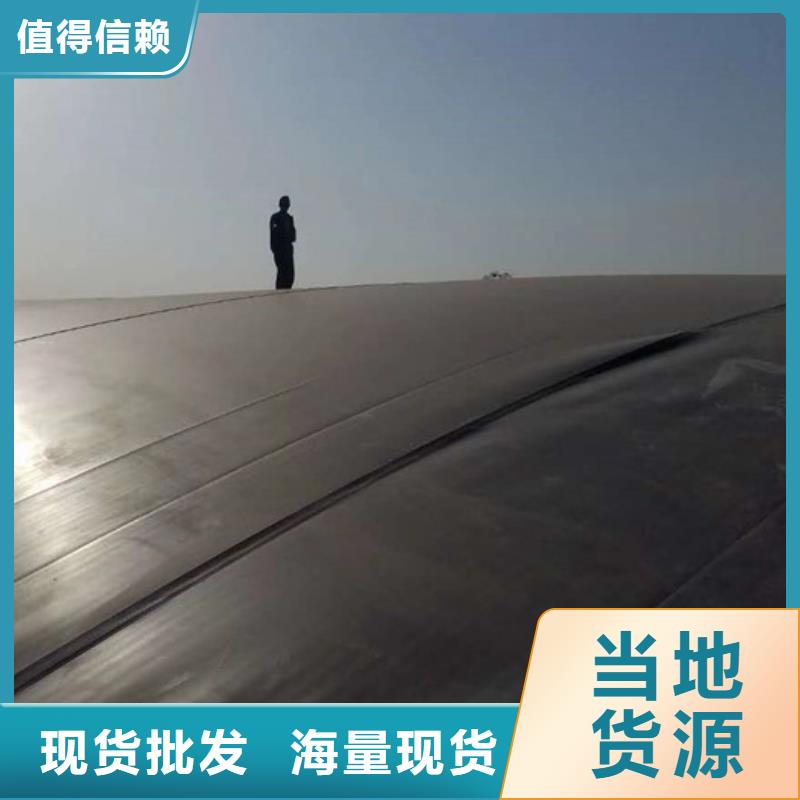 土工膜护坡土工网厂家直销