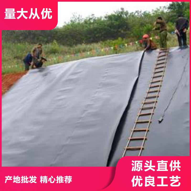土工膜复合土工膜重信誉厂家