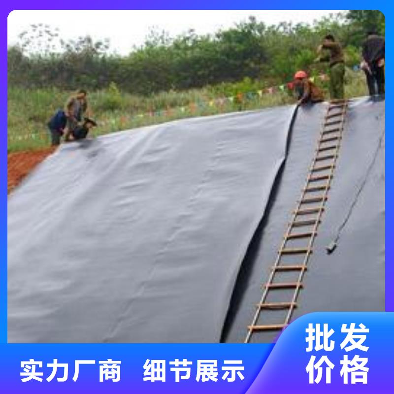 土工膜单向塑料土工格栅订制批发