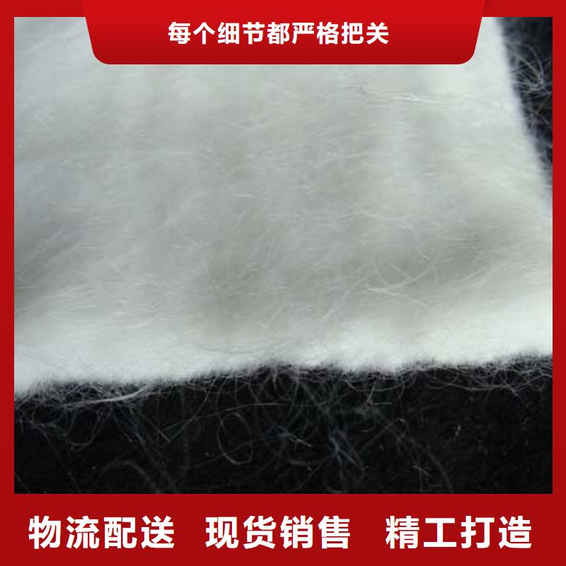 土工布_【单向拉伸塑料格栅】专心专注专业-鼎诺土工材料(台州市分公司)