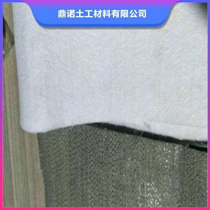 鼎诺护坡土工网【土工布】_玻纤格栅免费询价