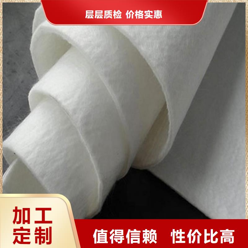 土工布涤纶土工格栅工厂价格
