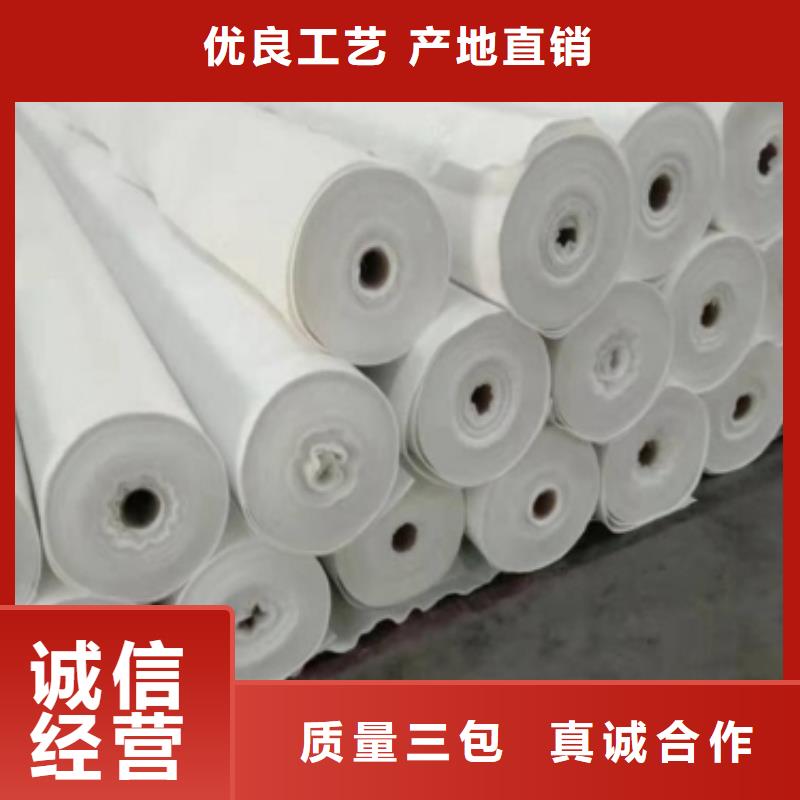 土工布水土保护毯品质保证实力见证