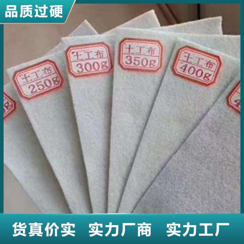土工布涤纶土工格栅工厂价格