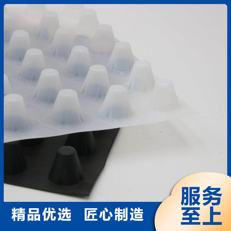 蓄排水板,单向塑料土工格栅品质保证实力见证