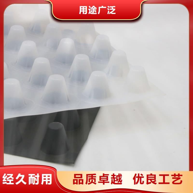 蓄排水板双向塑料土工格栅工厂自营
