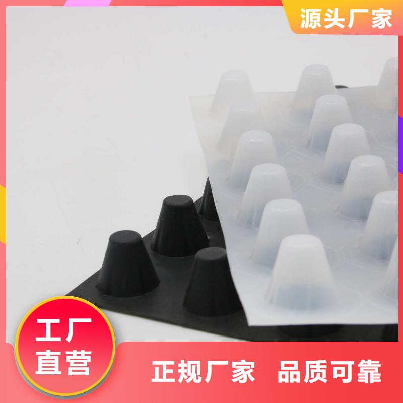 【 蓄排水板-水土保护毯今日价格】-鼎诺土工材料(驻马店市分公司)-二八商务