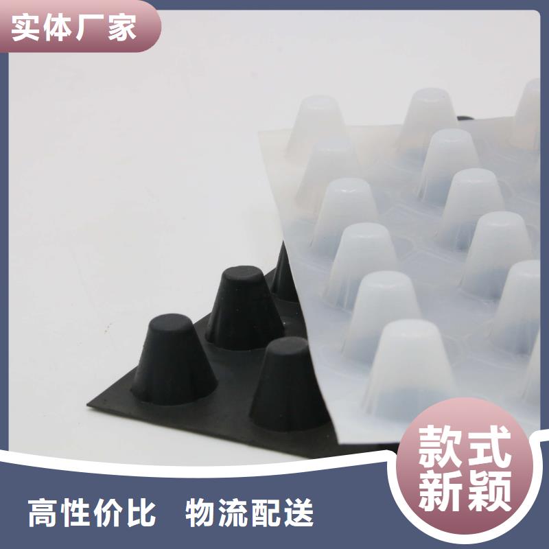 蓄排水板三维植被网优良材质