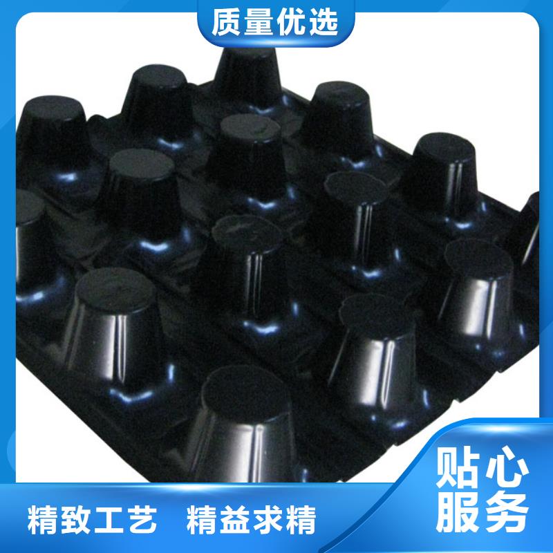 蓄排水板,单向塑料土工格栅品质保证实力见证