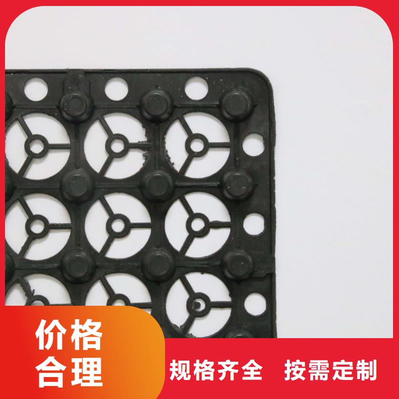 支持定制 蓄排水板_【塑料盲沟】高品质现货销售当地生产商