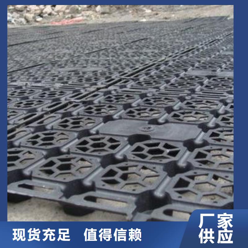 蓄排水板,【土工格室】实体厂家大量现货本地品牌