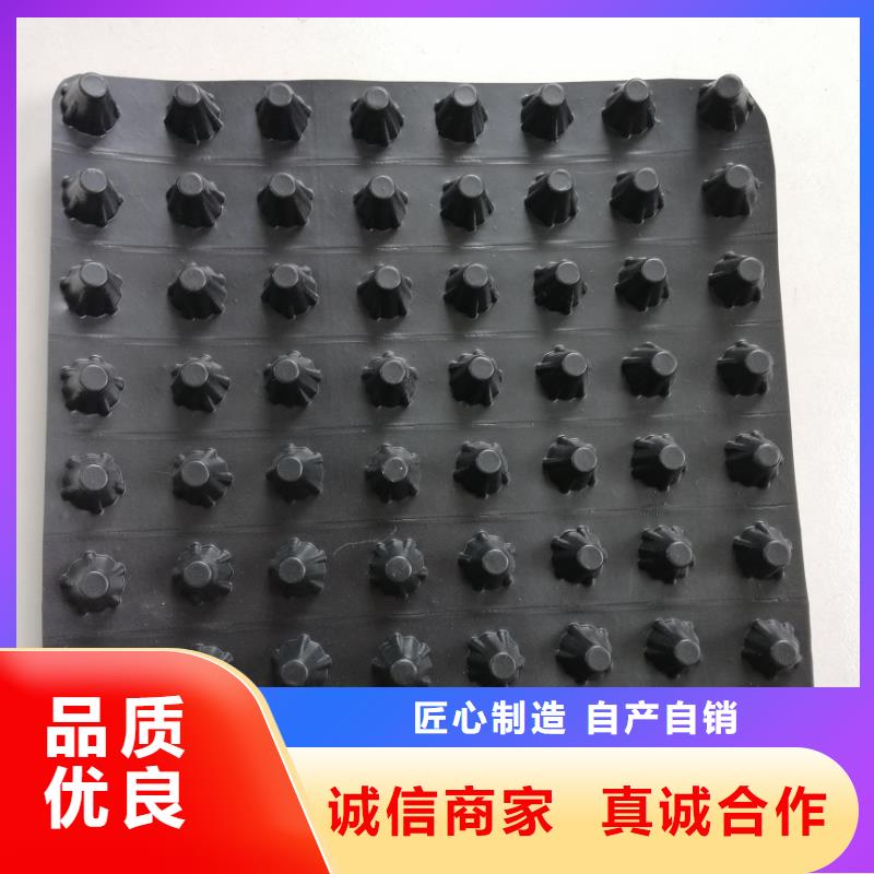 蓄排水板三维植被网用好材做好产品
