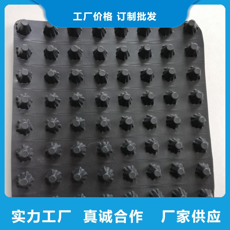 支持定制 蓄排水板_【塑料盲沟】高品质现货销售当地生产商