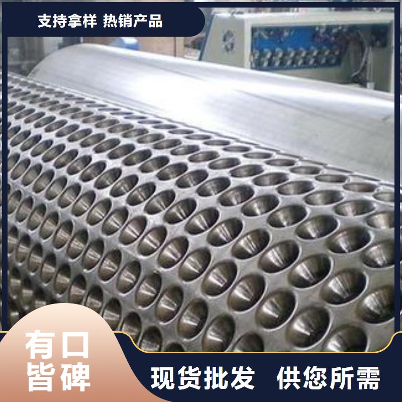 【蓄排水板三维土工网垫优选好材铸造好品质】