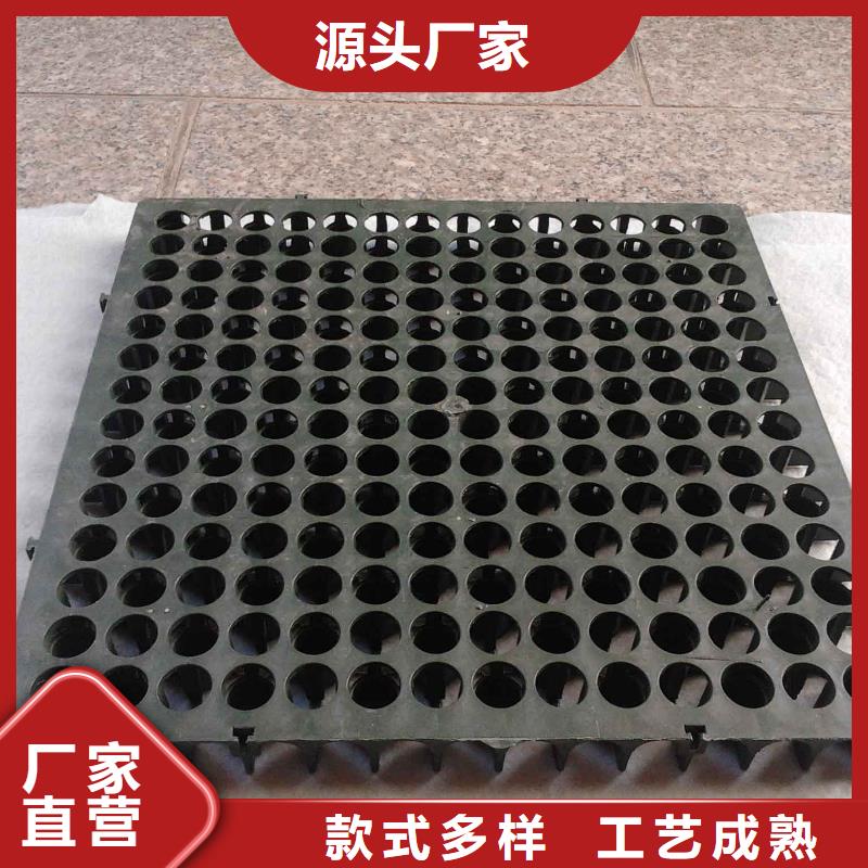 【蓄排水板】护坡土工网专业生产厂家