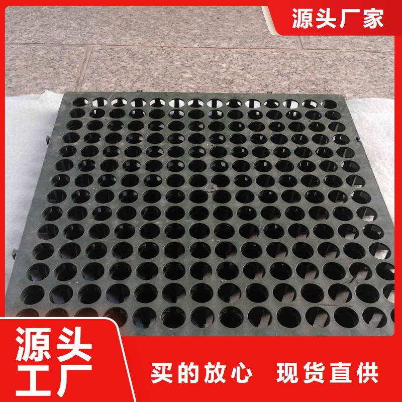 【 蓄排水板-水土保护毯今日价格】-鼎诺土工材料(驻马店市分公司)-二八商务