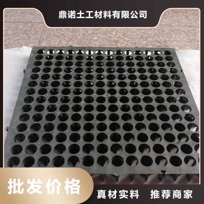 【蓄排水板三维土工网垫优选好材铸造好品质】