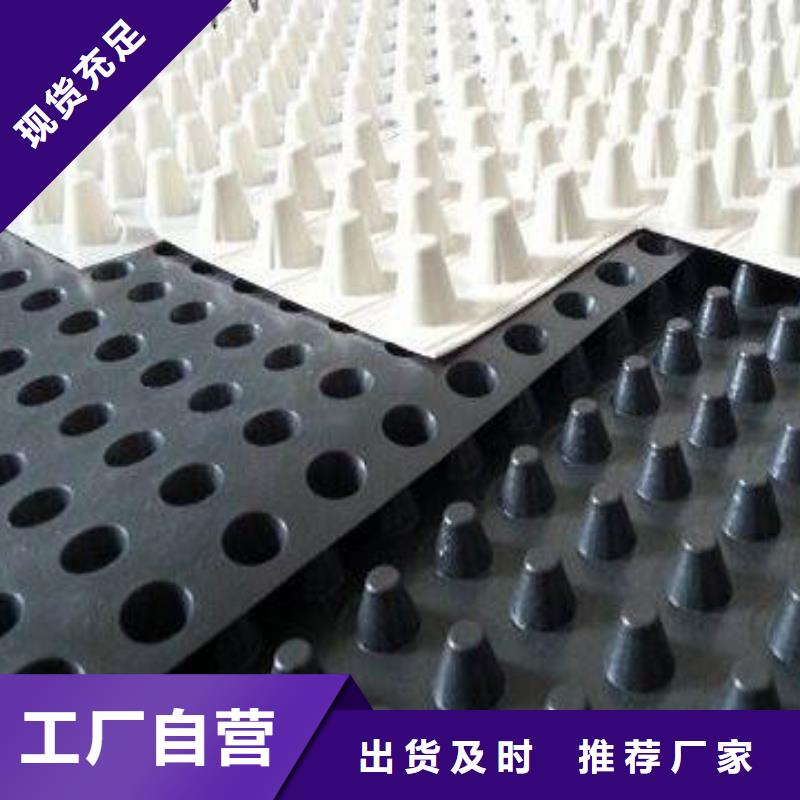 【蓄排水板】护坡土工网专业生产厂家