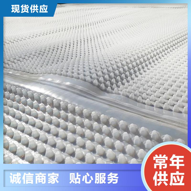 蓄排水板_复合土工膜优质货源