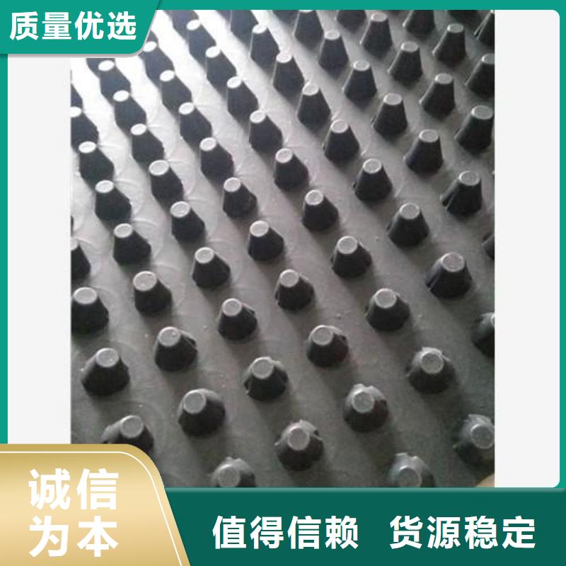 【蓄排水板】护坡土工网专业生产厂家