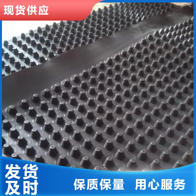 【 蓄排水板-水土保护毯今日价格】-鼎诺土工材料(驻马店市分公司)-二八商务