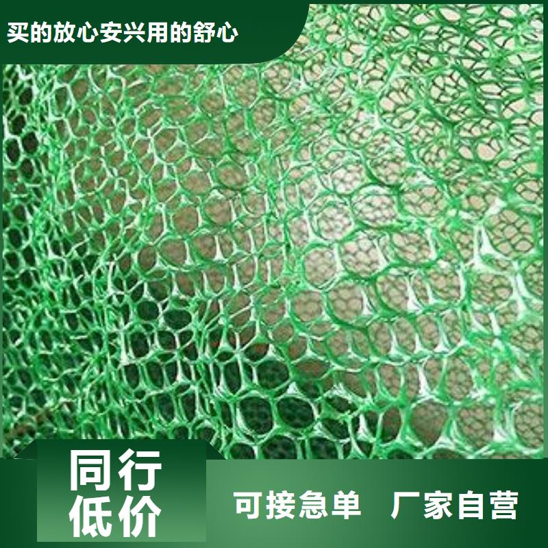 三维植被网土工席垫多种规格可选