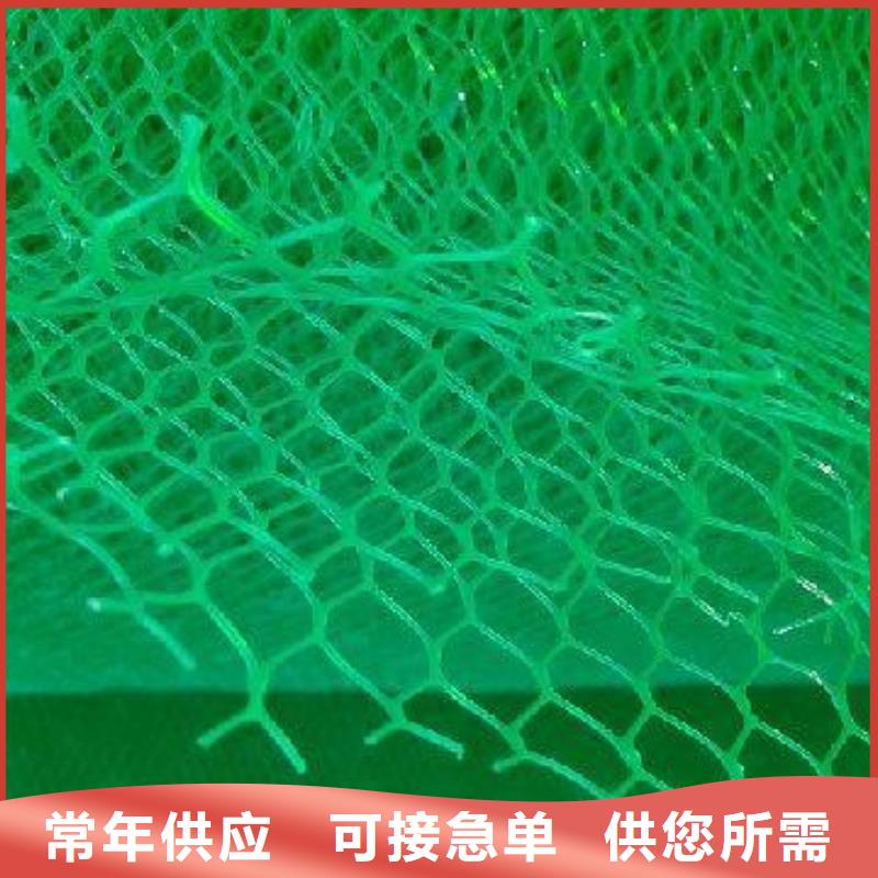 鼎诺护坡土工网【 三维植被网双向拉伸土工格栅一站式采购商】二八商务