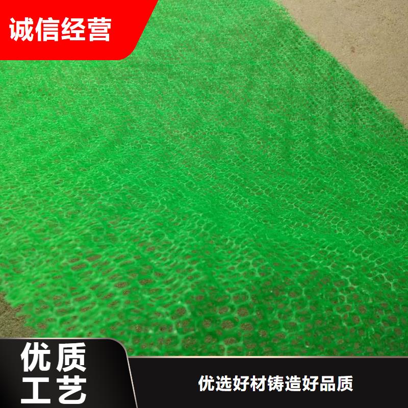 【三维植被网】_双向拉伸土工格栅实力厂家直销鼎诺护坡土工网