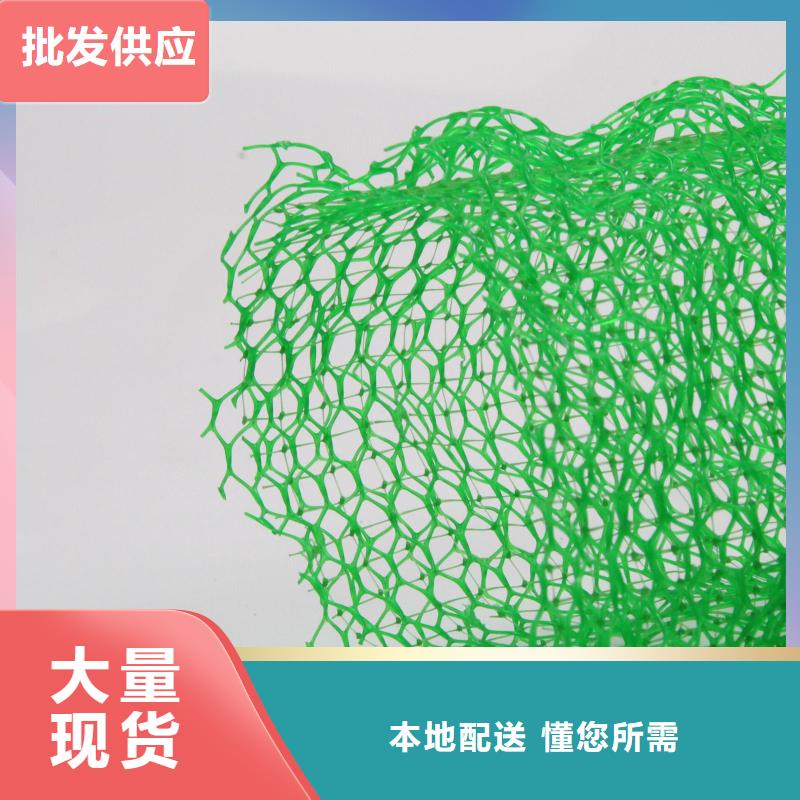 鼎诺护坡土工网【 三维植被网双向拉伸土工格栅一站式采购商】二八商务