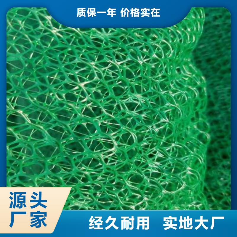 三维植被网_钢塑土工格栅一手货源源头厂家