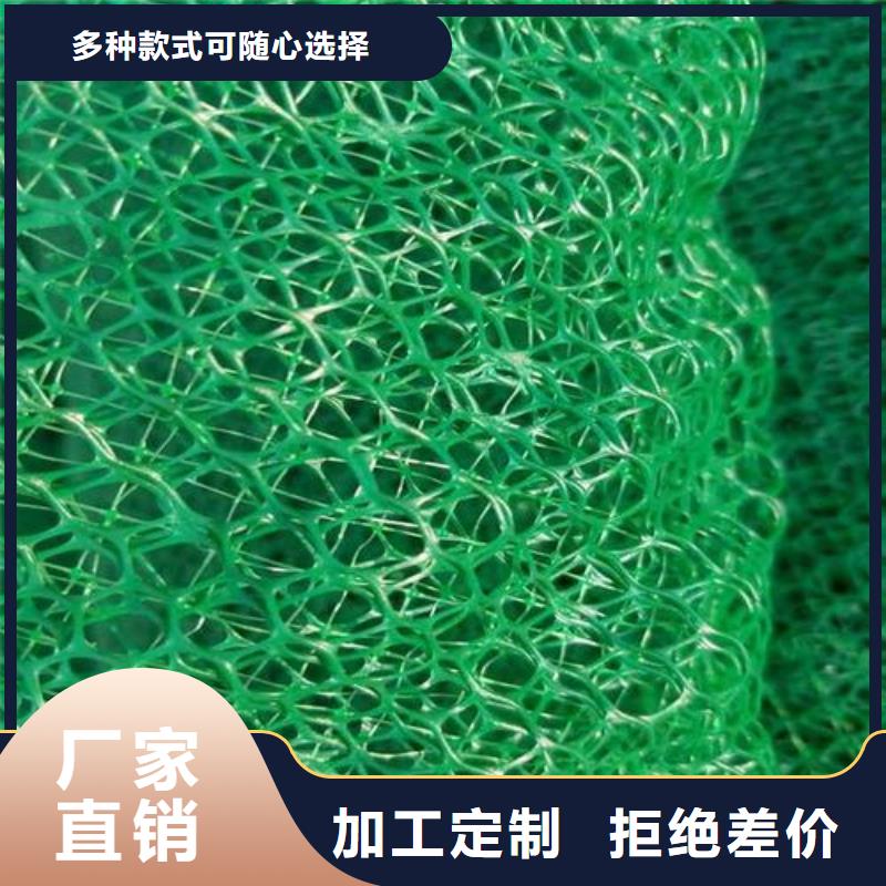 三维植被网土工席垫多种规格可选
