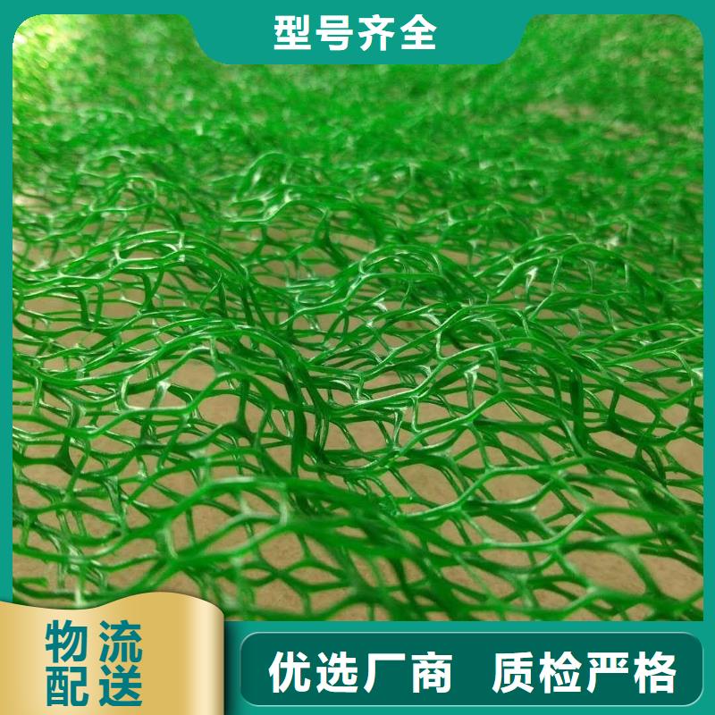 三维植被网_三维复合排水网真实拍摄品质可靠