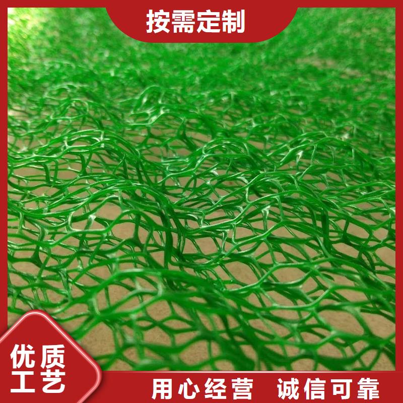 三维植被网塑料盲沟保障