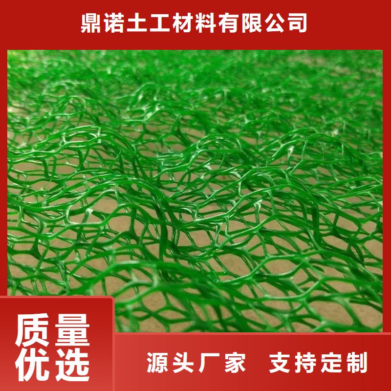鼎诺护坡土工网【 三维植被网双向拉伸土工格栅一站式采购商】二八商务