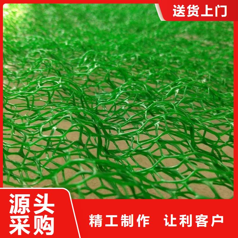 三维植被网土工席垫多种规格可选