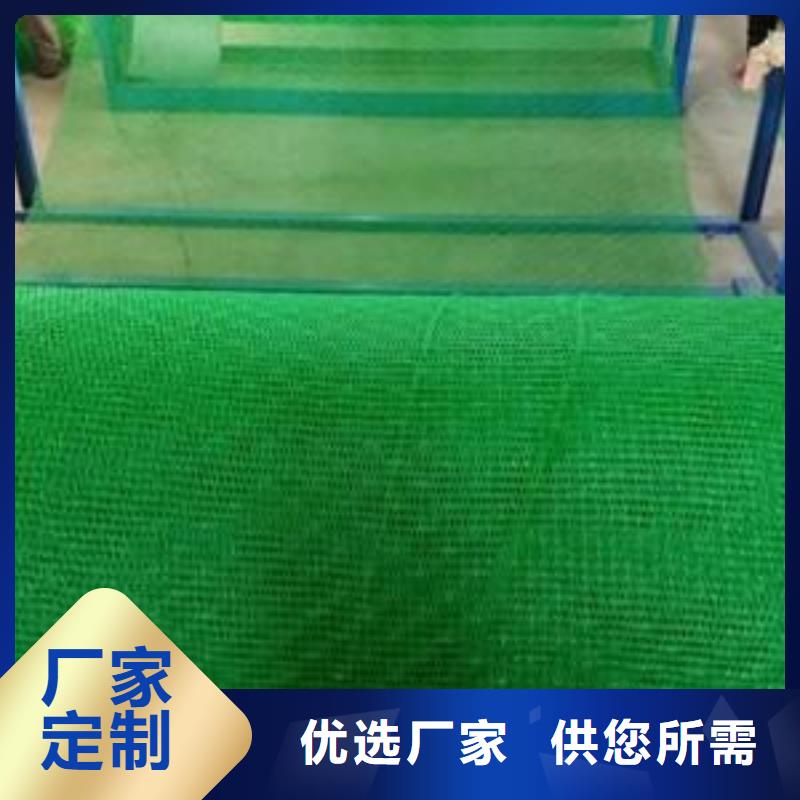 三维植被网土工格室商家