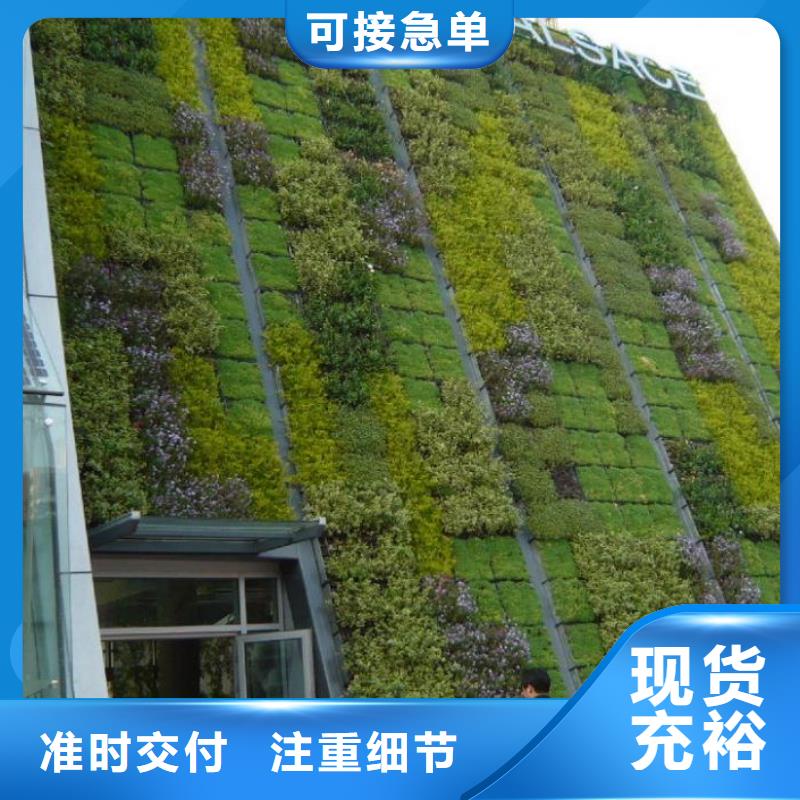 三维植被网玻纤土工格栅研发生产销售