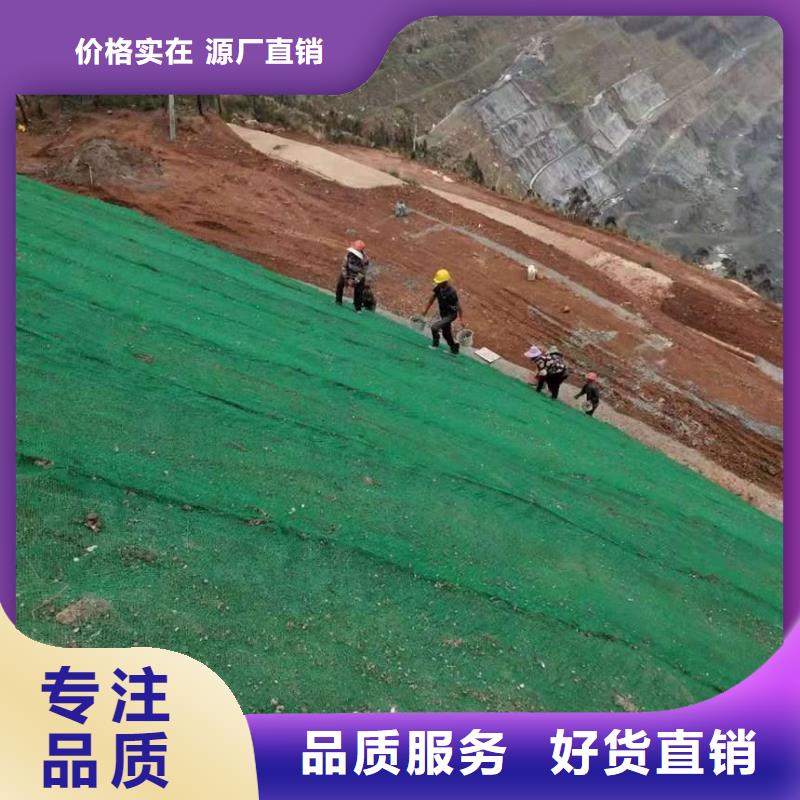 三维植被网双向塑料土工格栅现货供应