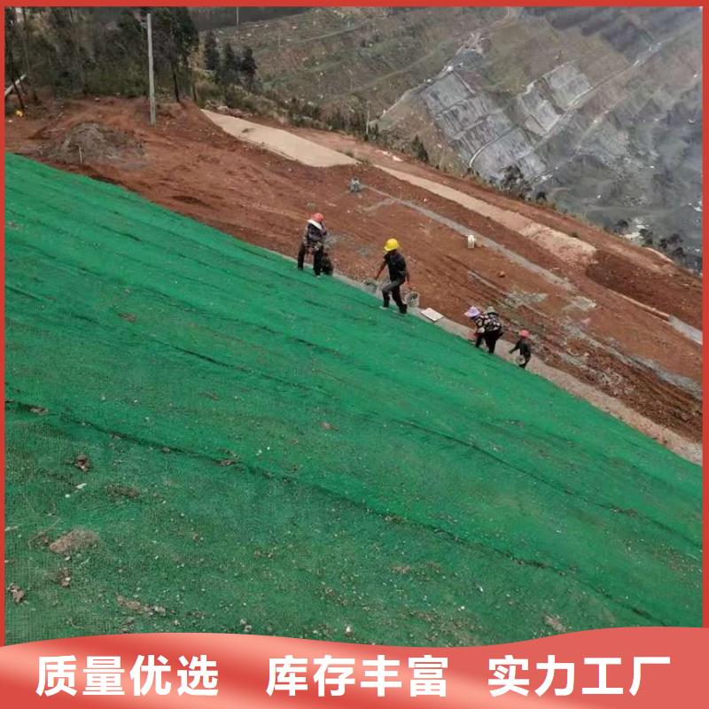 三维植被网塑料盲沟保障