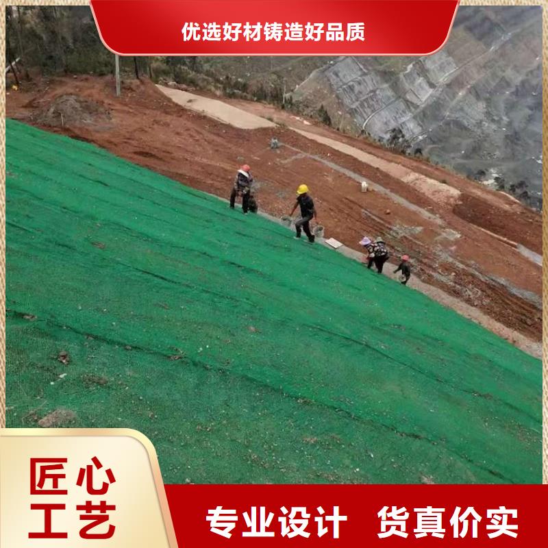 鼎诺护坡土工网【 三维植被网双向拉伸土工格栅一站式采购商】二八商务