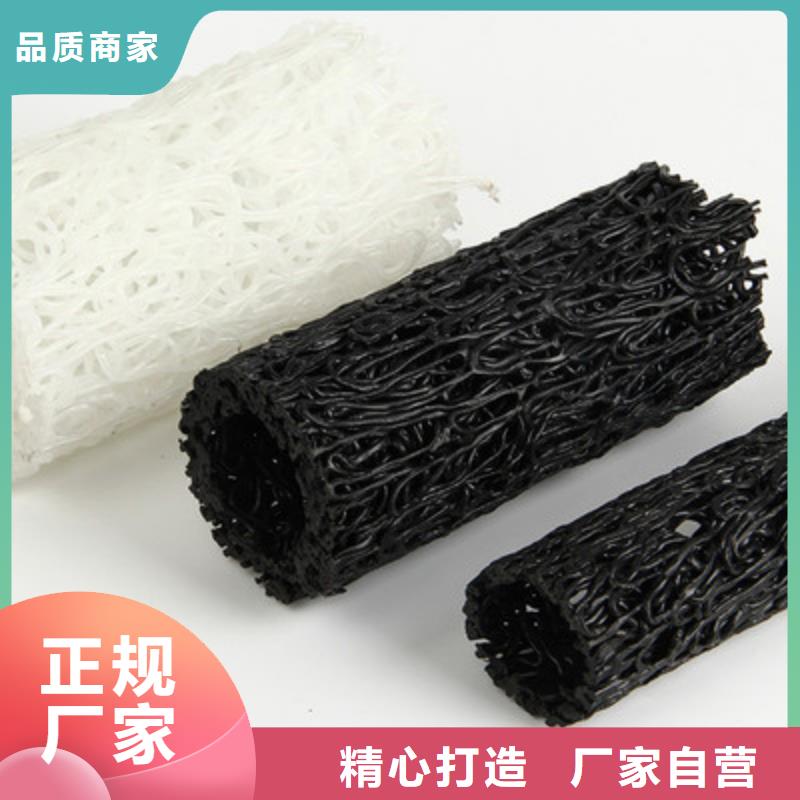 塑料盲沟_土工席垫专注生产N年
