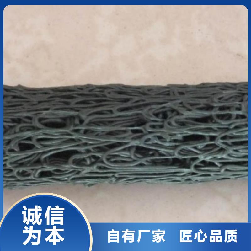 【塑料盲沟】,毛细排水板一手货源由鼎诺为您