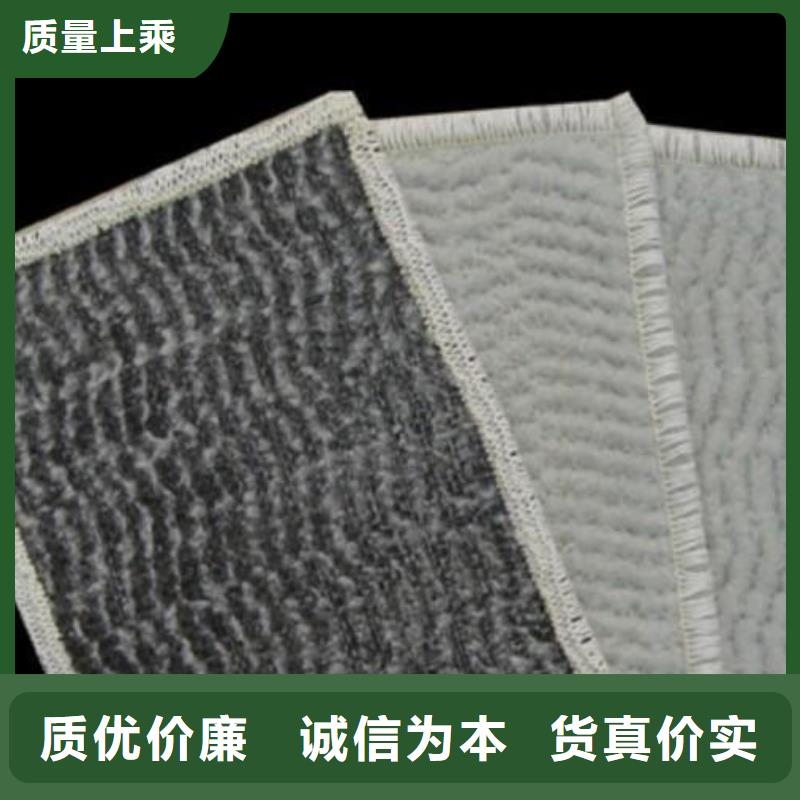 膨润土防水毯双向塑料土工格栅48小时发货
